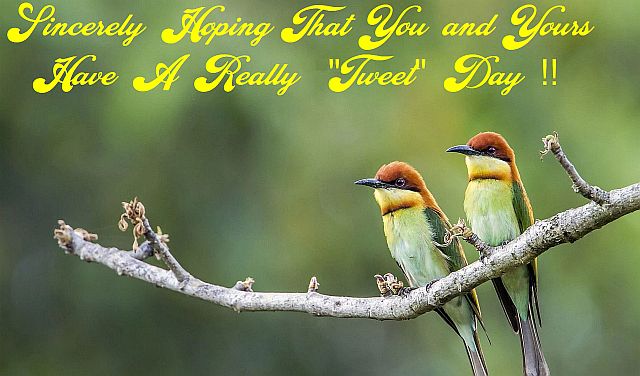 Sincere Tweet Hopes