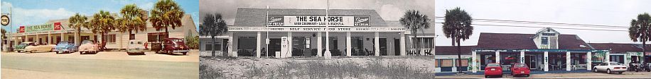 Sea Horse Store