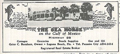Sea Horse Business Card